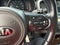2017 Kia Sorento EX V6